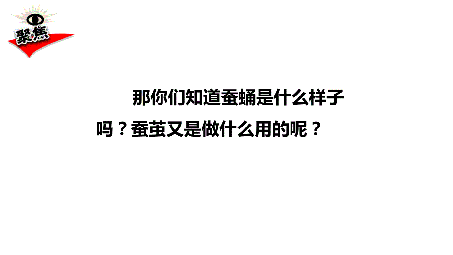 2020新教科版三年级科学下册《2.4蚕变了新模样》教学课件_第3页