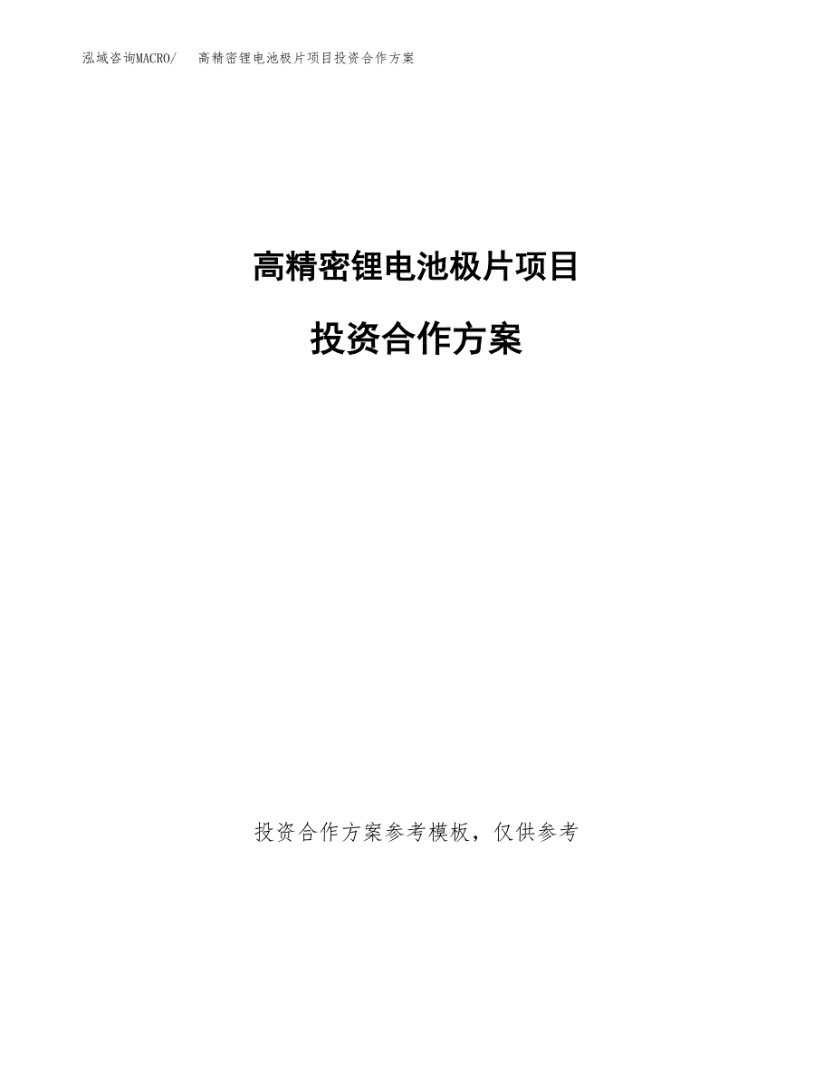 高精密锂电池极片项目投资合作方案(模板及范文).docx_第1页