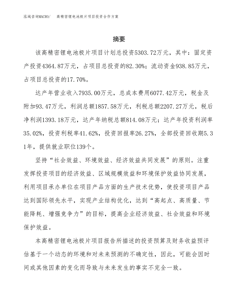 高精密锂电池极片项目投资合作方案(模板及范文).docx_第2页