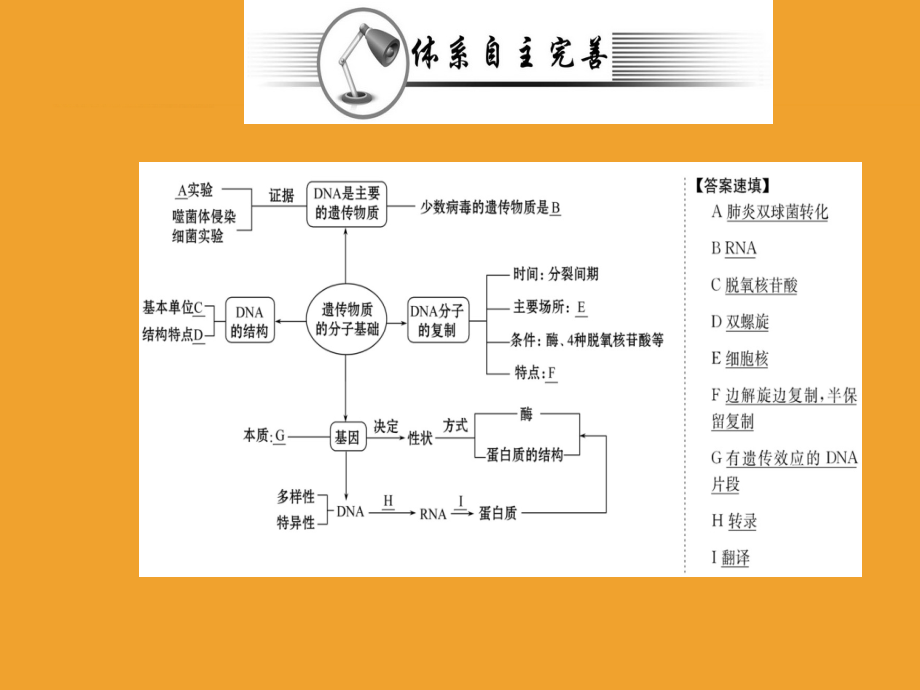 生物学案人教全国通用版必修二课件：阶段复习课 第3、4章 .ppt_第2页