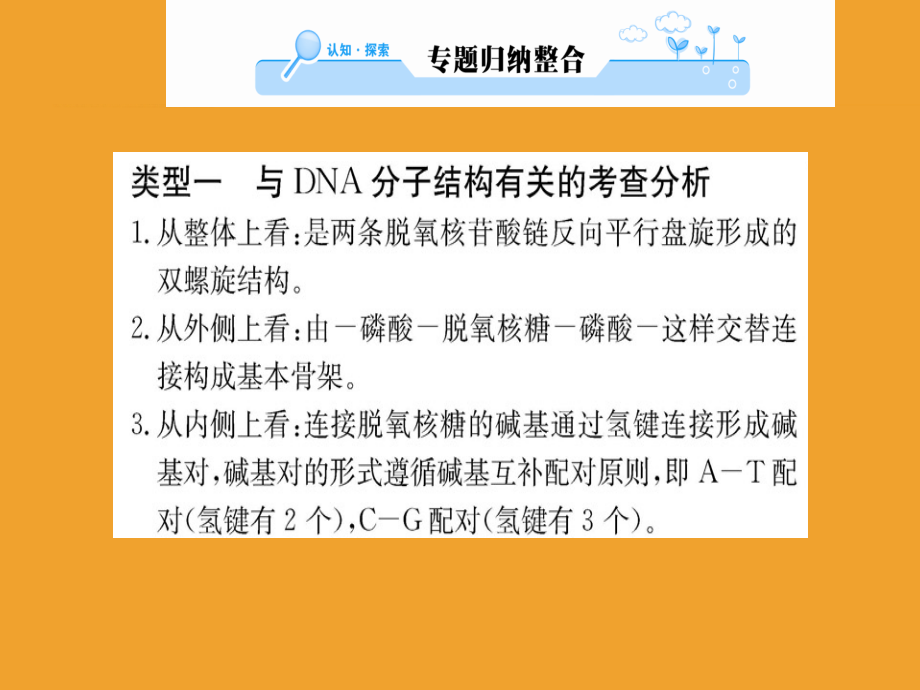 生物学案人教全国通用版必修二课件：阶段复习课 第3、4章 .ppt_第3页