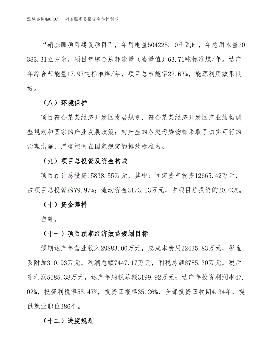 硝基胍项目投资合作计划书模板.docx_第4页