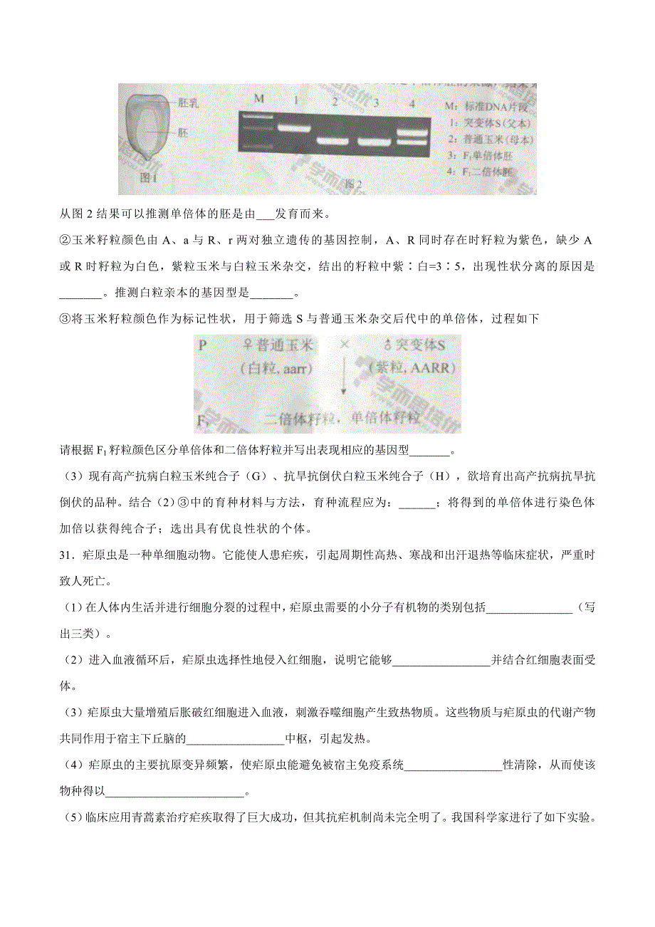 2017年高考北京卷理综生物试题解析（原卷版）.doc_第4页