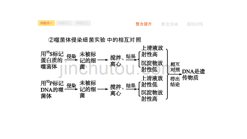 2020届 二轮复习 遗传的分子基础 课件50张（全国通用）_第4页