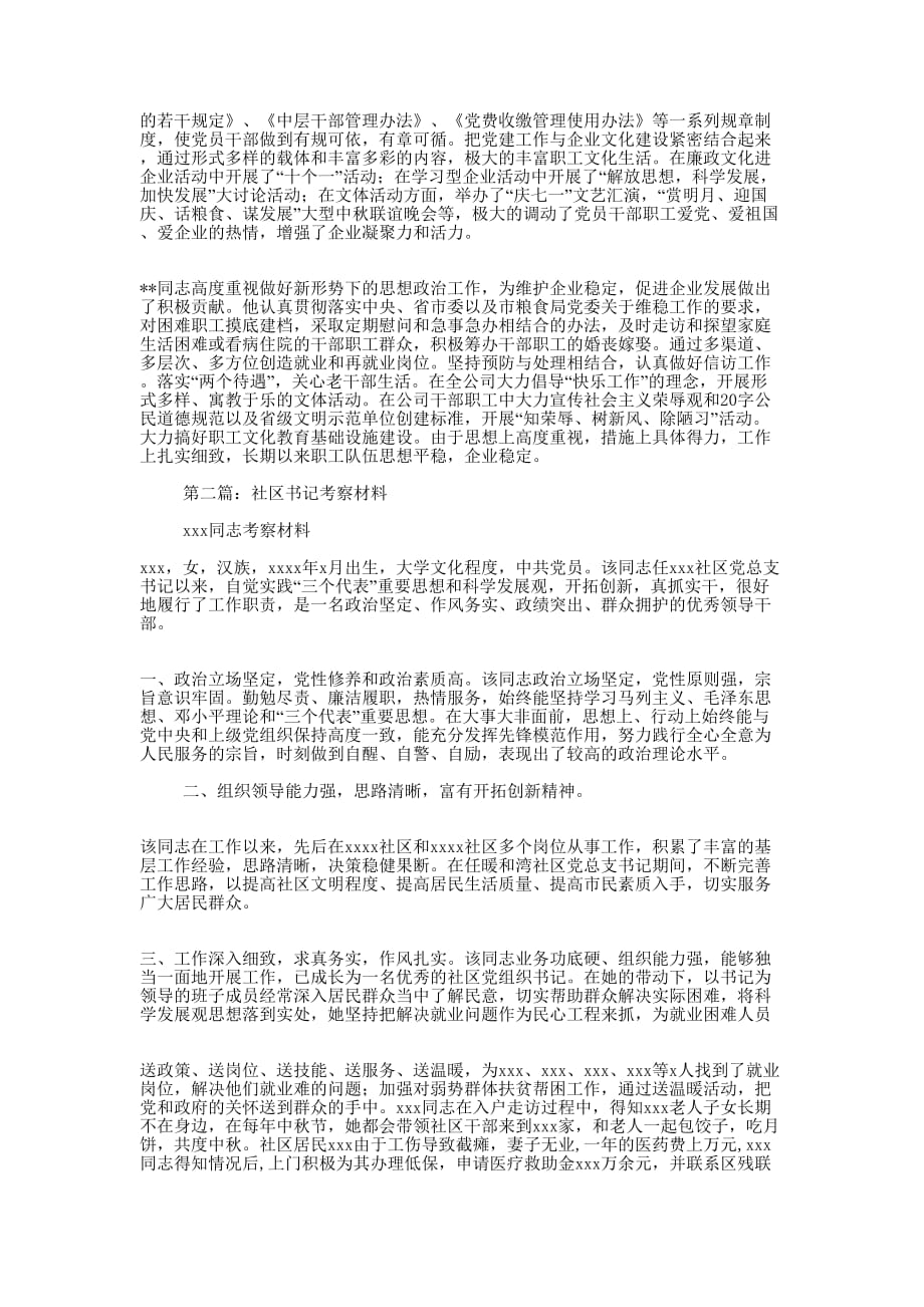 团县委书记考察的材料_第2页