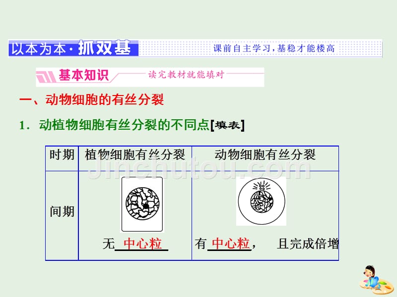 高中生物第6章第1节第2课时动物细胞的有丝分裂、无丝分裂和观察根尖分生组织细胞的有丝分裂课件新人教版必修1.ppt_第2页