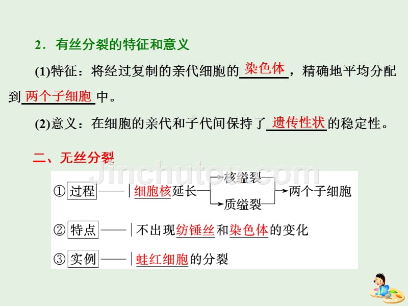 高中生物第6章第1节第2课时动物细胞的有丝分裂、无丝分裂和观察根尖分生组织细胞的有丝分裂课件新人教版必修1.ppt_第4页