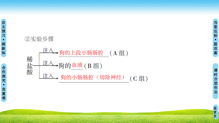 高中生物人教版必修三课件：第2章 第2节 通过激素的调节 .ppt_第4页