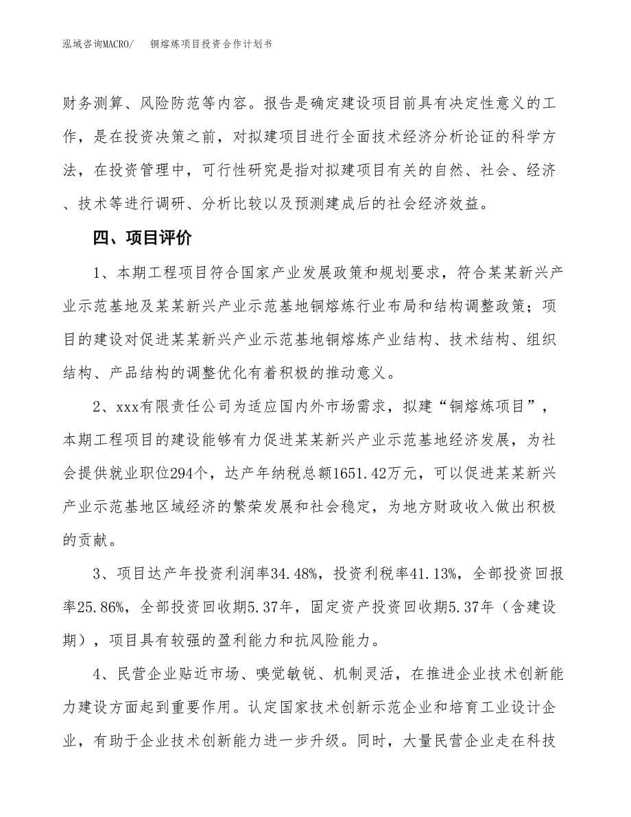 铜熔炼项目投资合作计划书模板.docx_第5页