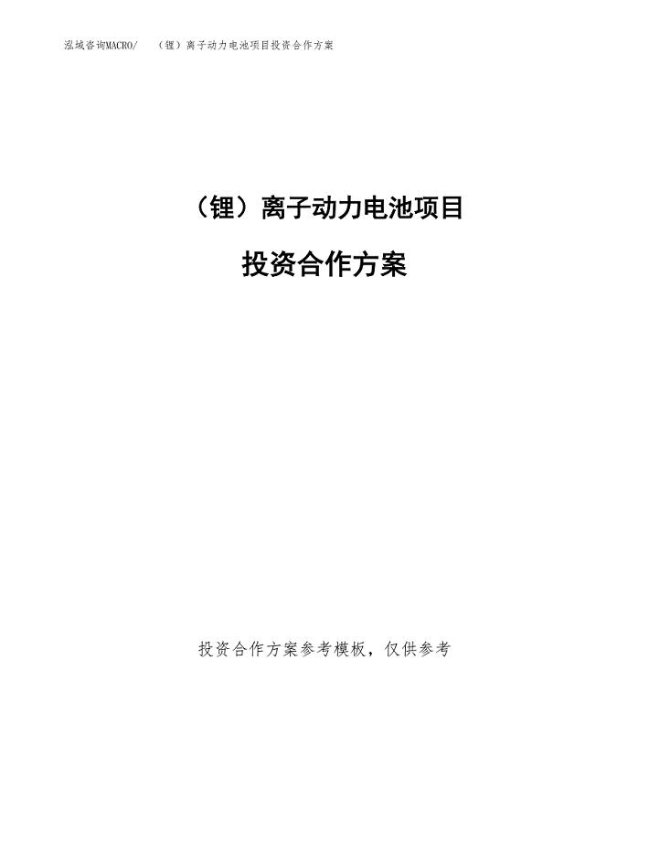 （锂）离子动力电池项目投资合作方案(模板及范文).docx