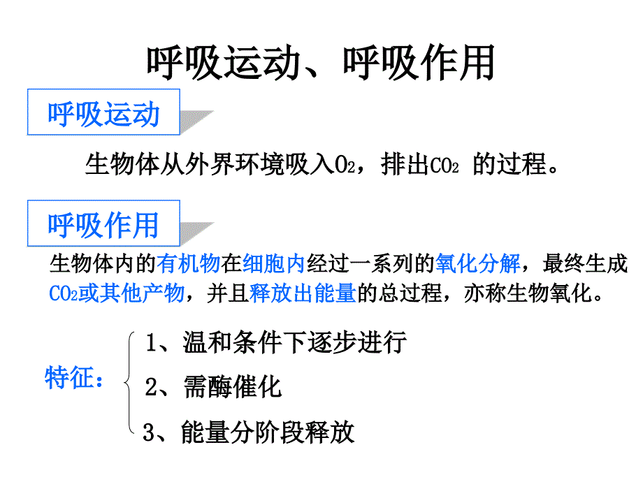 高一生物细胞呼吸9_第2页