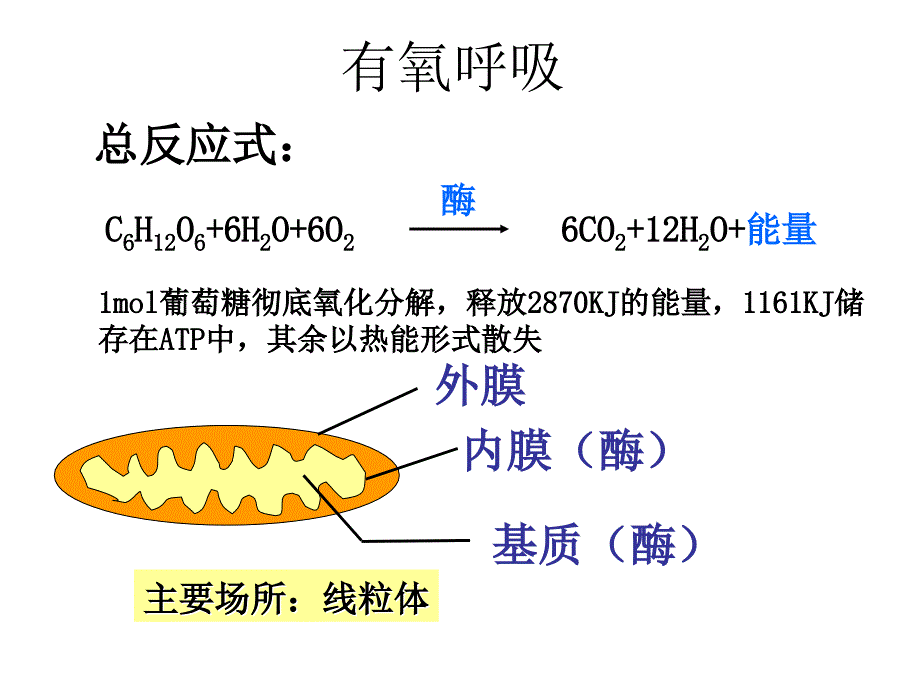 高一生物细胞呼吸9_第4页