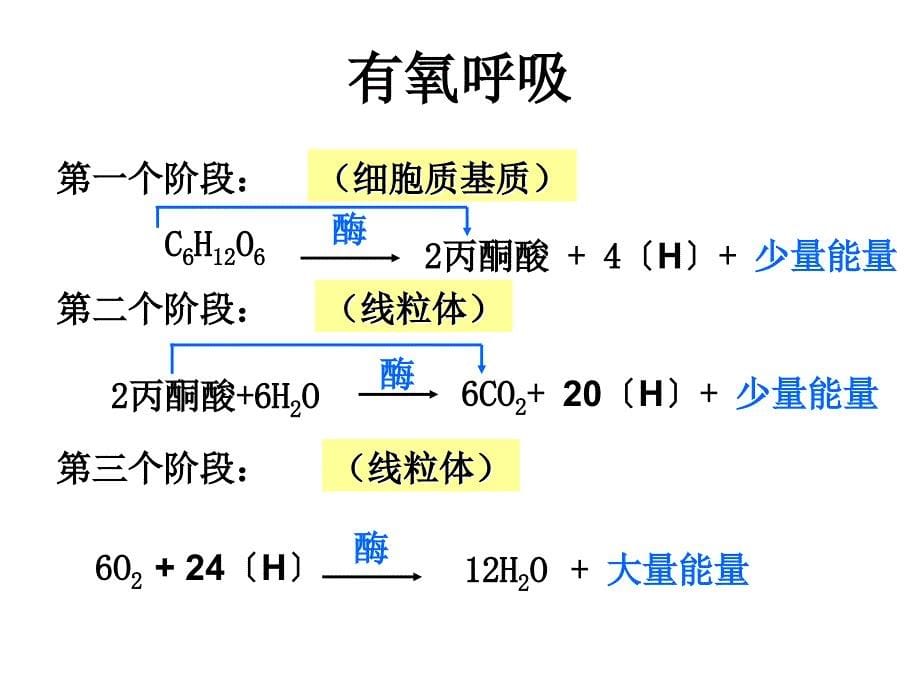 高一生物细胞呼吸9_第5页