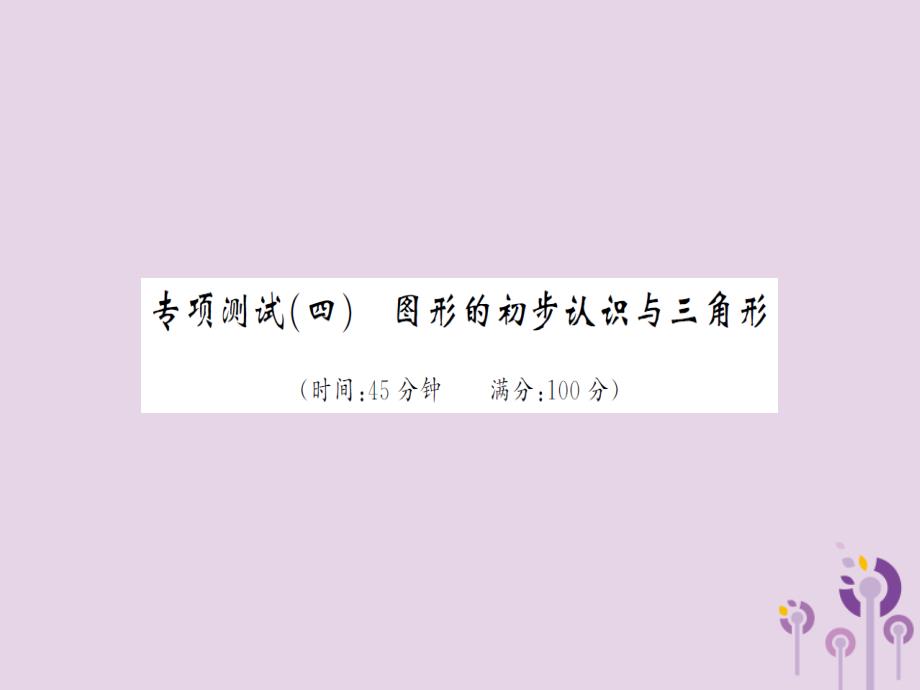 湖北省中考数学专项测试（四）图形的初步认识与三角形习题练课件.ppt_第1页