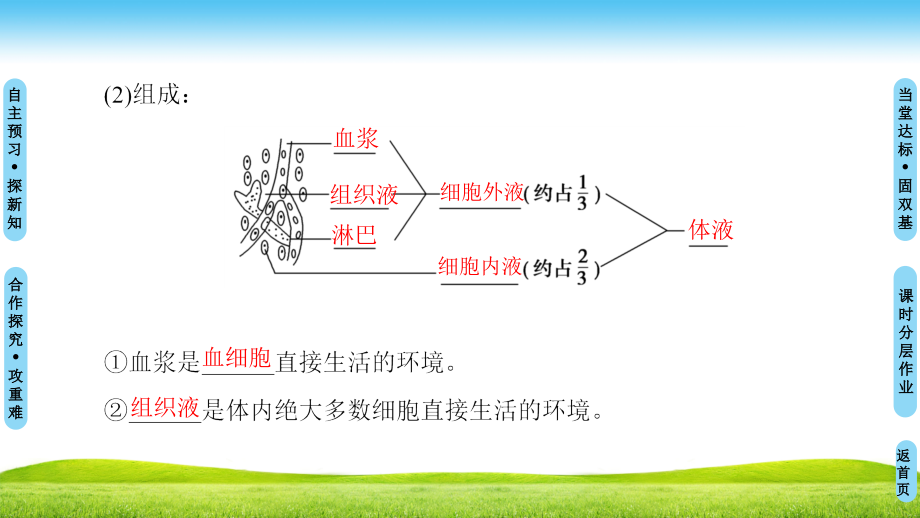 高中生物人教版必修三课件：第1章 第1节 细胞生活的环境 .ppt_第4页