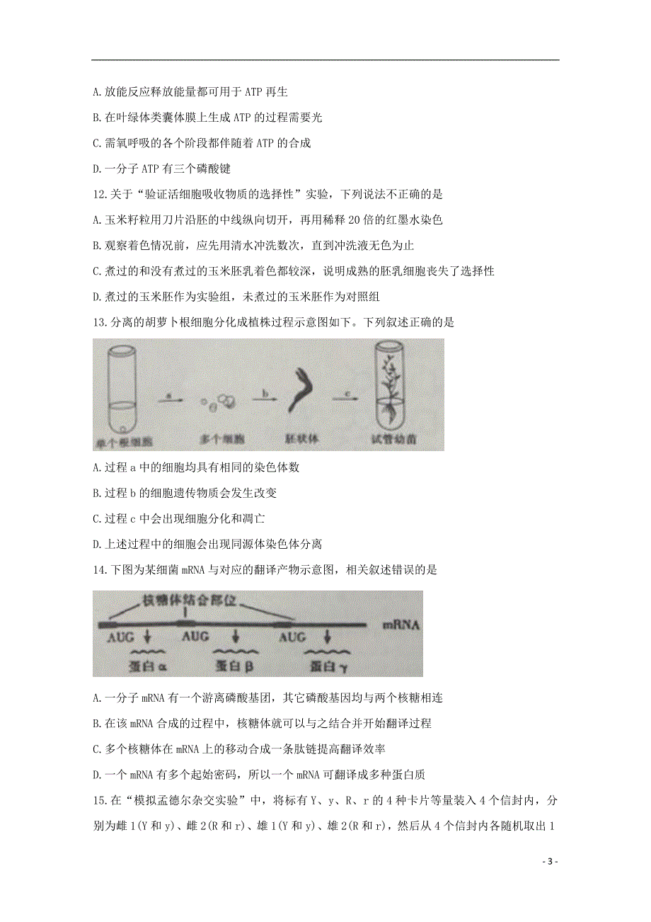 浙江省2020届高三生物10月适应性考试试题2019120301146_第3页