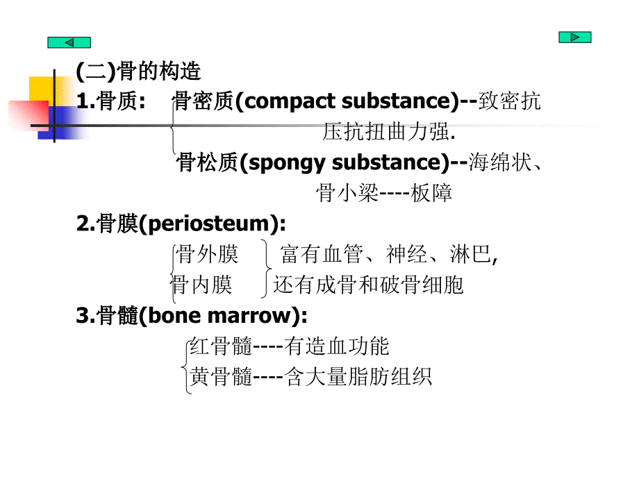 全身骨解剖_第4页