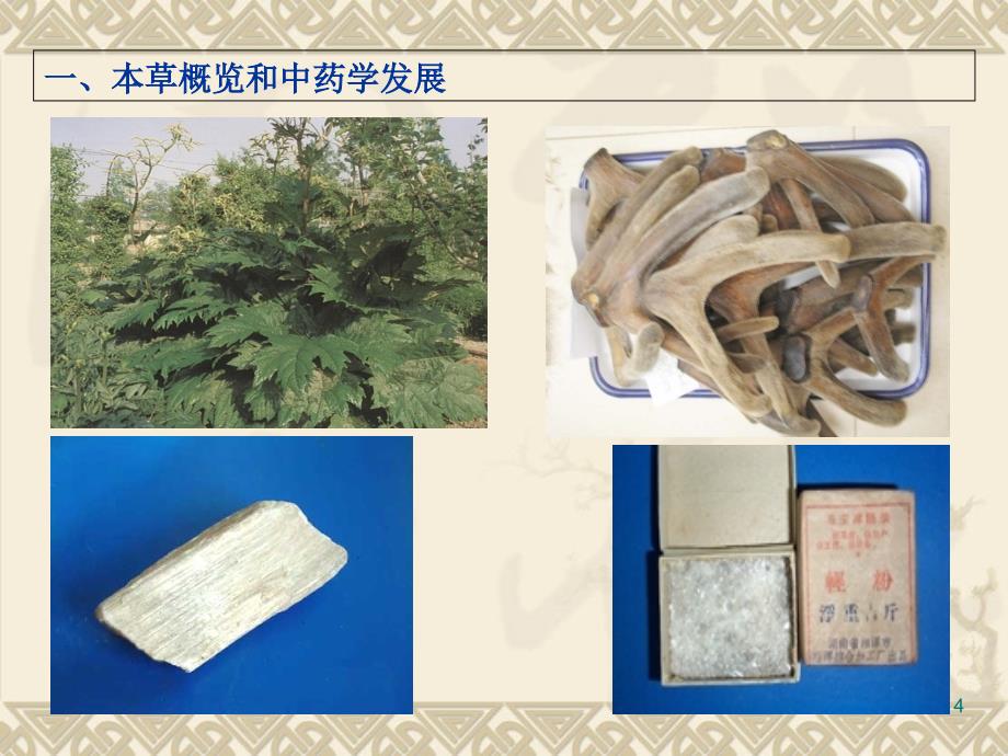 中医渊源本草概览和中药学的发展(医学百事通转)_第4页