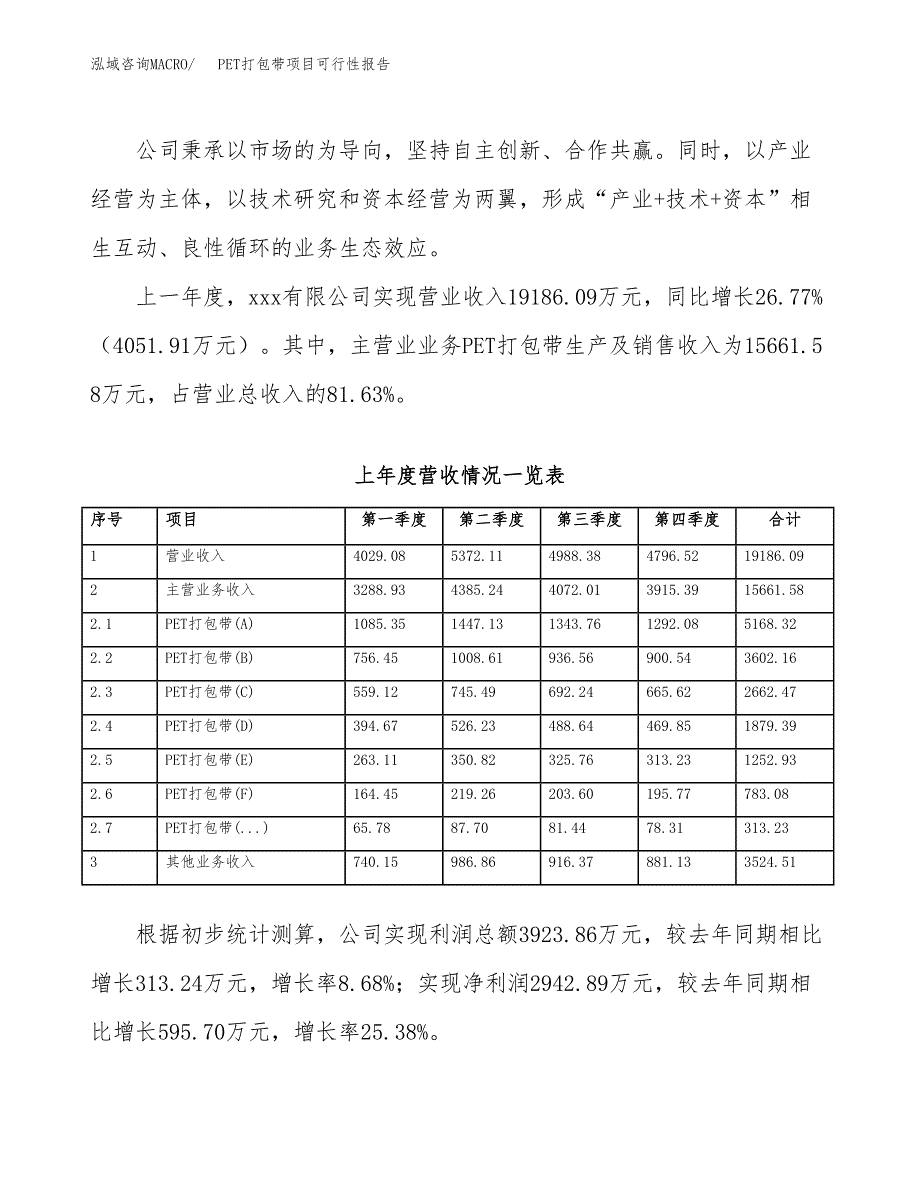 (立项备案申请样例)PET打包带项目可行性报告.docx_第2页