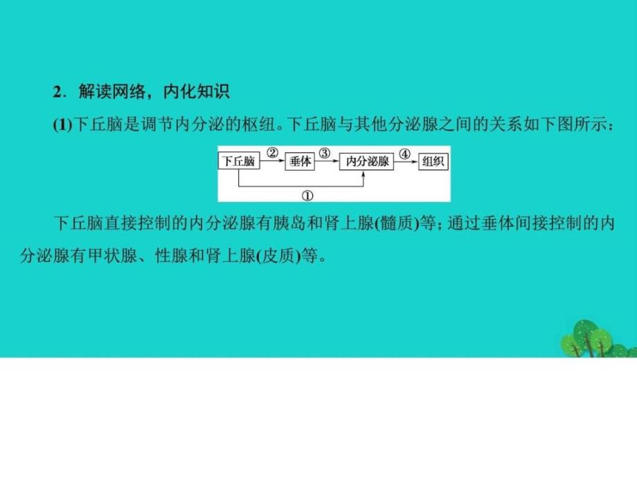 2016_2017学年高中生物第2章动物生命活动的调节下丘脑....ppt_第3页