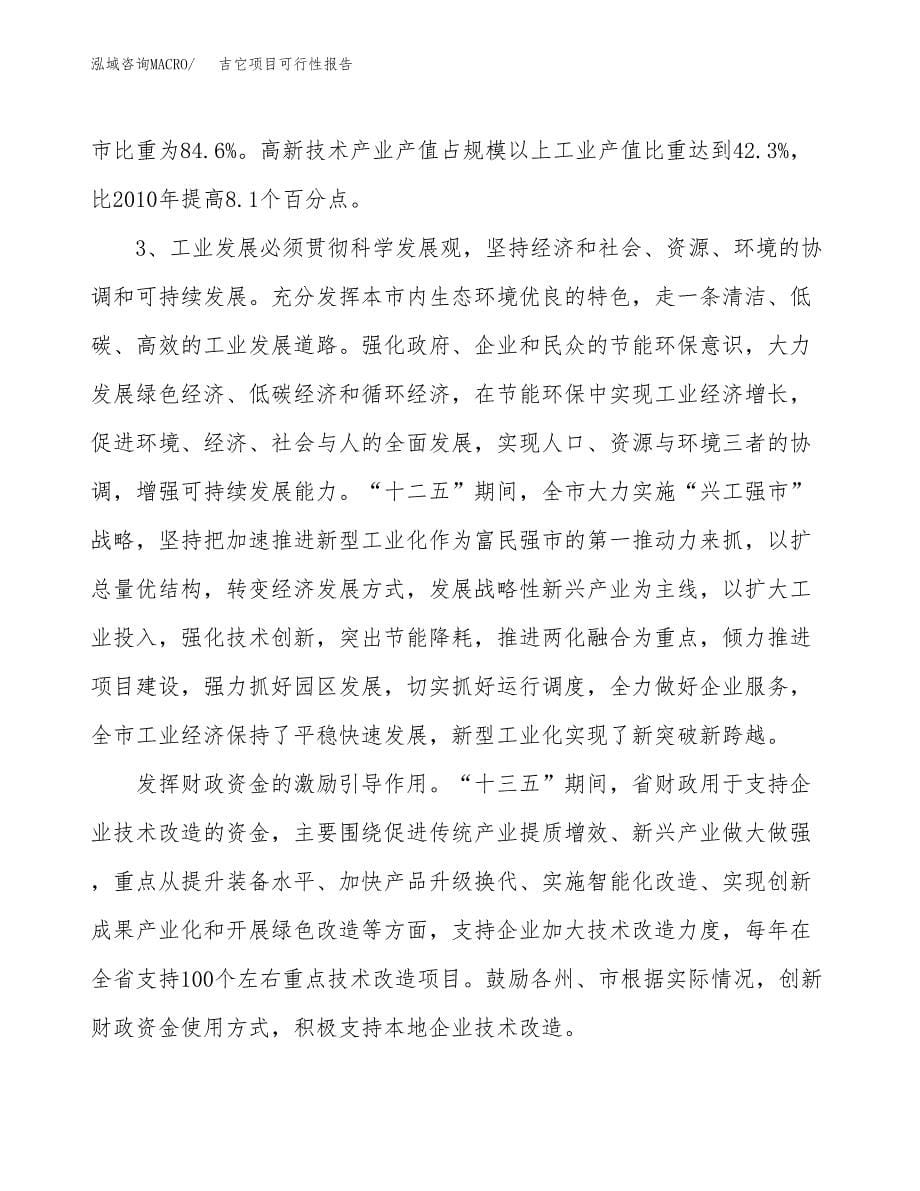 (立项备案申请样例)吉它项目可行性报告.docx_第5页