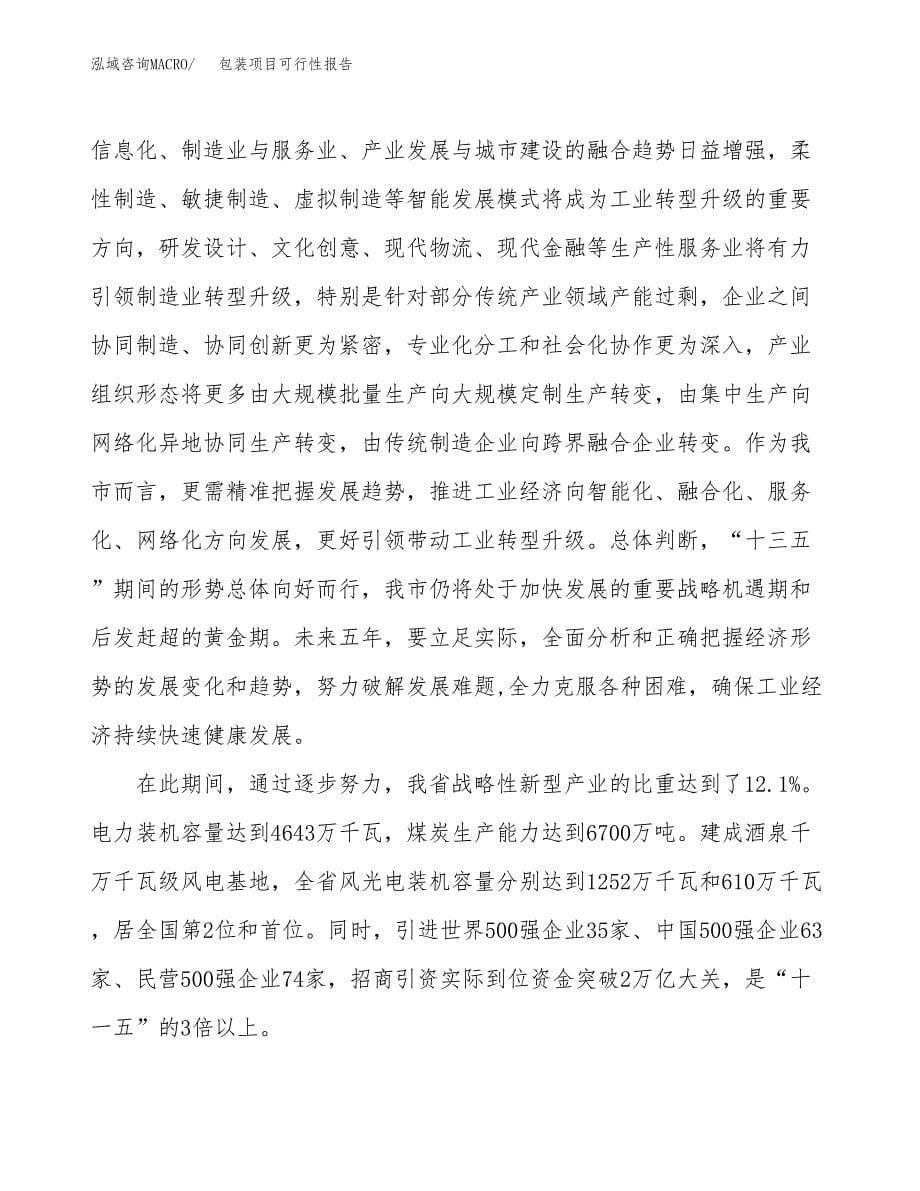 (立项备案申请样例)包装项目可行性报告.docx_第5页