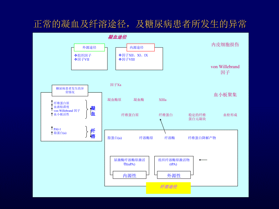 3－糖尿病的心血管病变_第3页