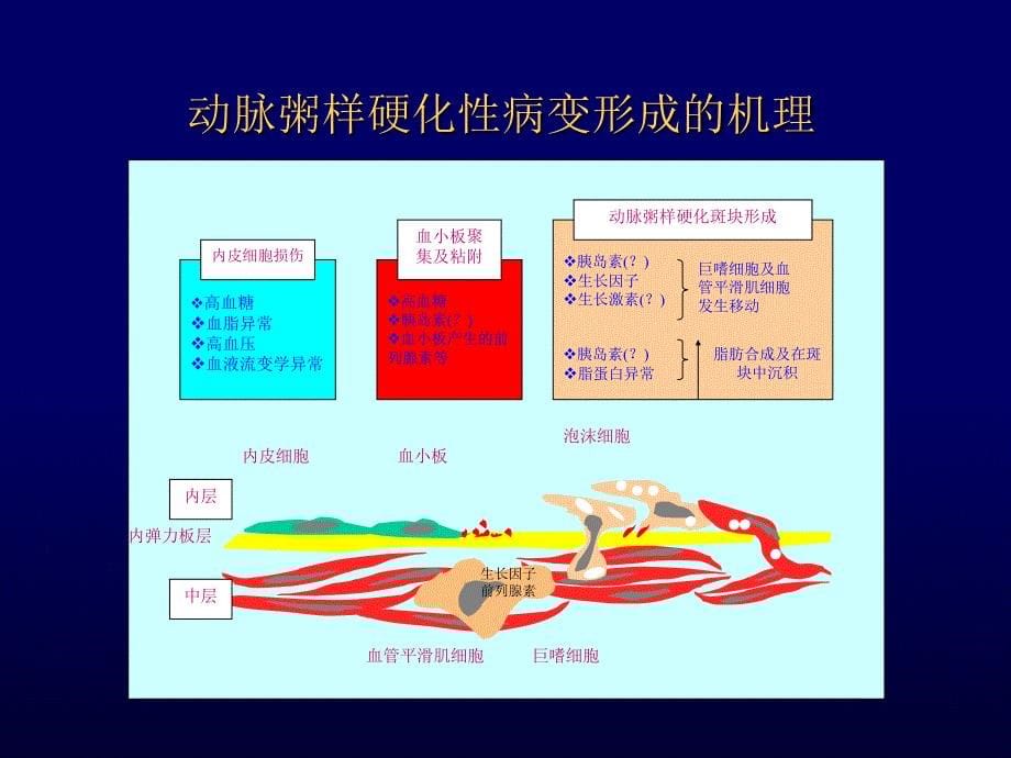 3－糖尿病的心血管病变_第5页