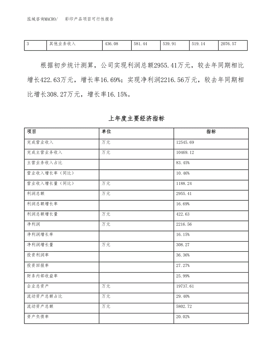 (立项备案申请样例)彩印产品项目可行性报告.docx_第3页