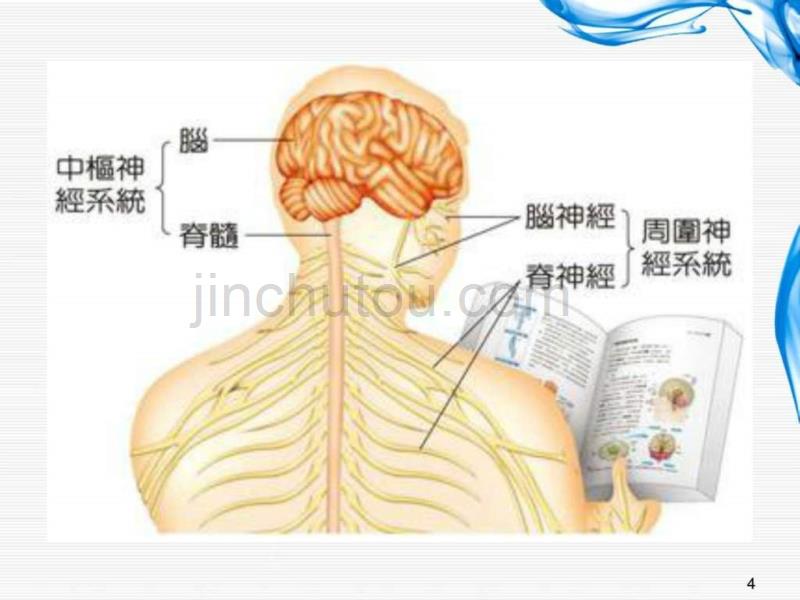 13. 神经及精神疾病的生物化学检验_图文.ppt_第4页