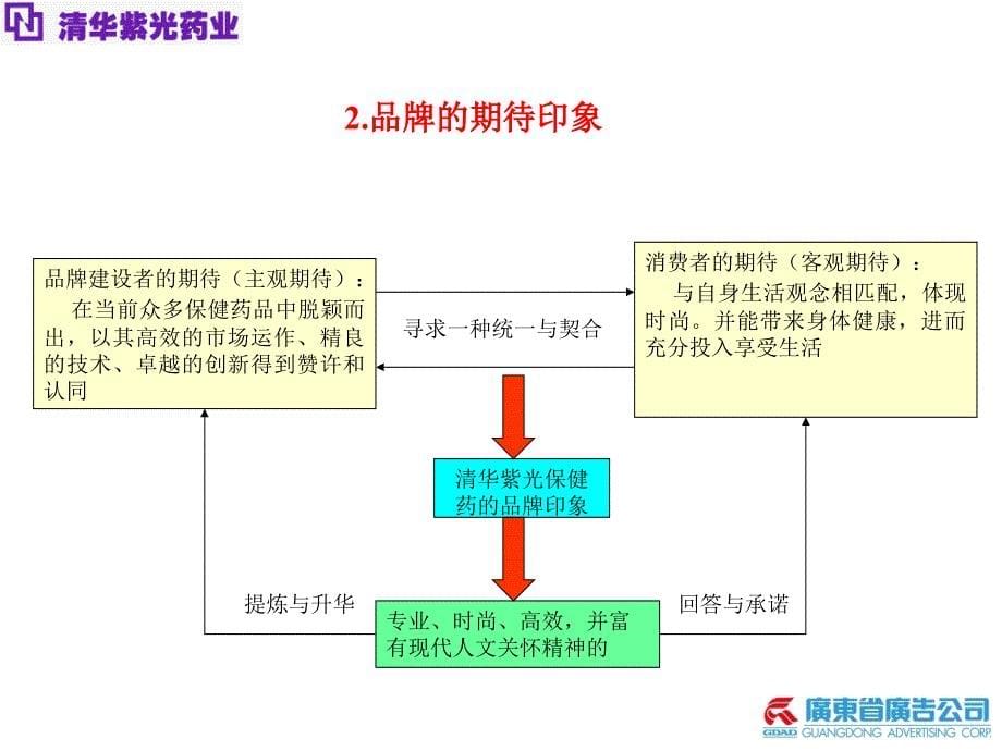 XX药业品牌规划与建设_第5页