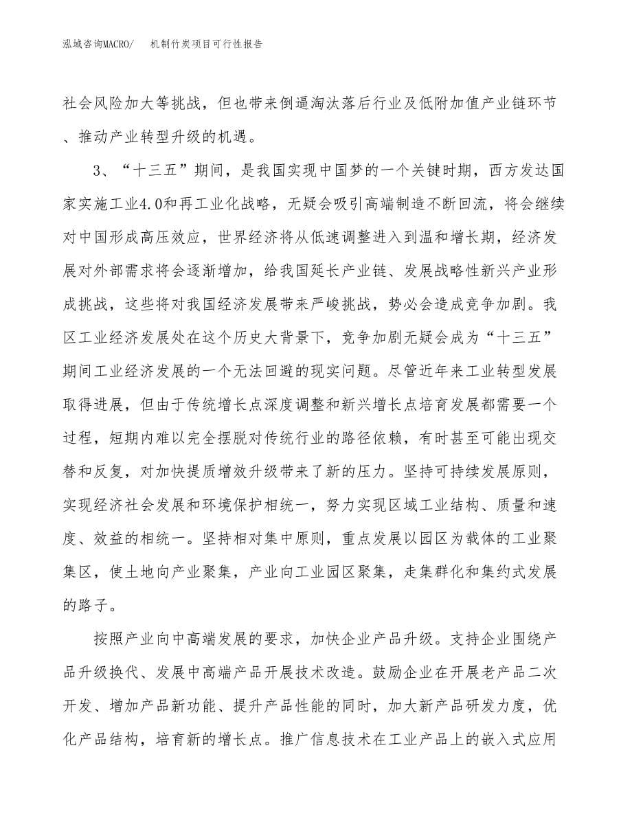 (立项备案申请样例)机制竹炭项目可行性报告.docx_第5页