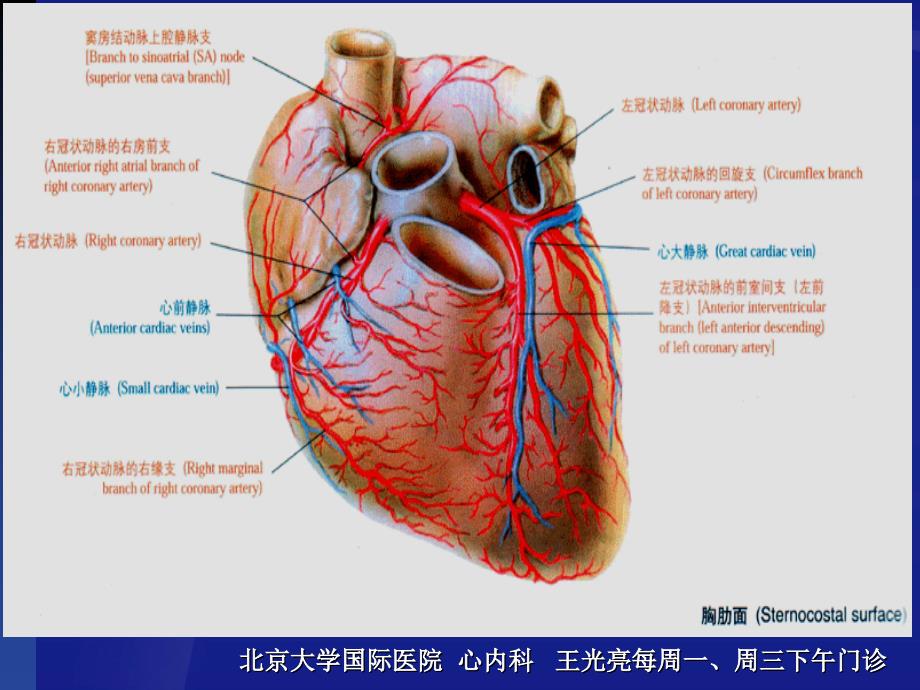 冠心病诊疗北京大学国际医院 心内科 王光亮医生 ppt课件_第3页