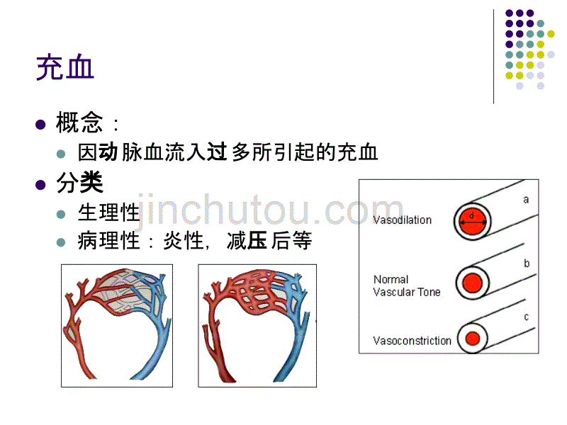 4血液循环new_第3页