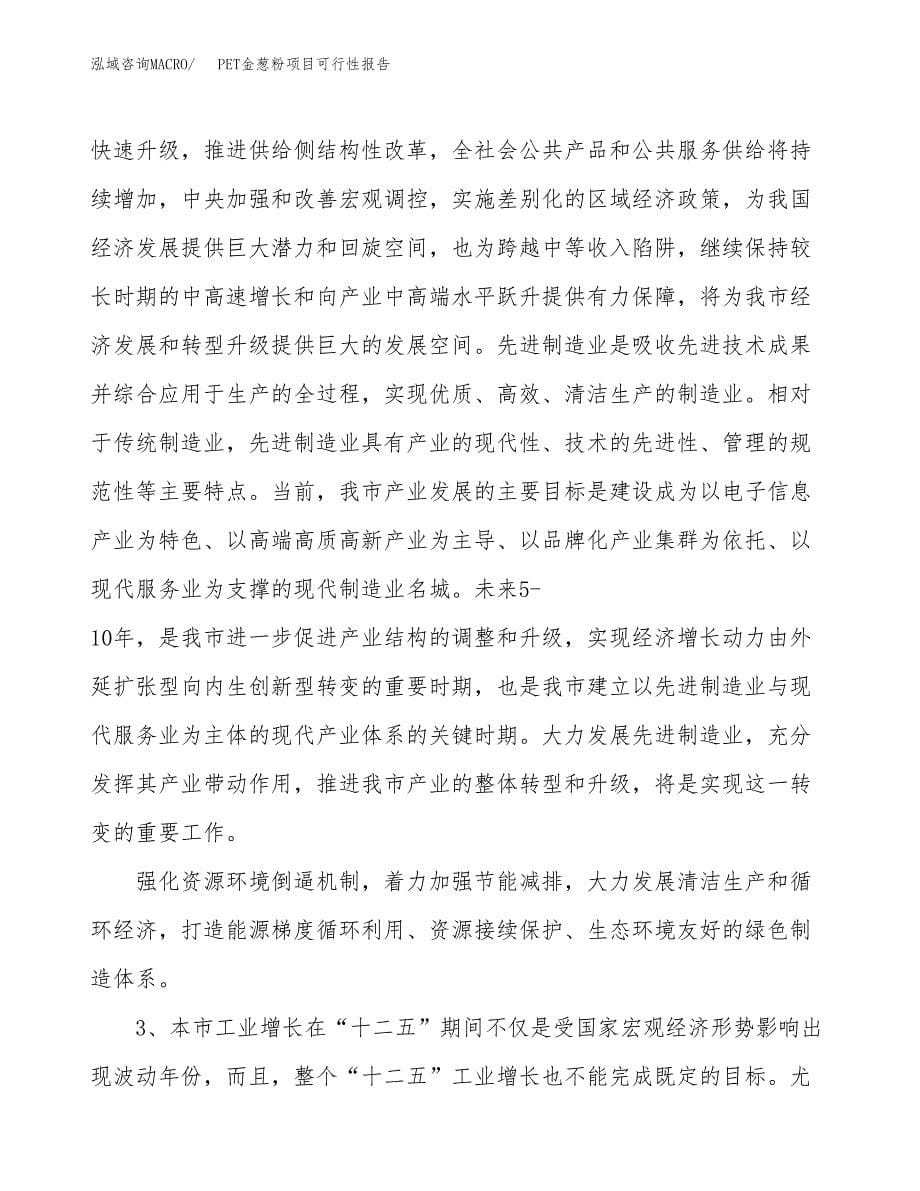 (立项备案申请样例)PET金葱粉项目可行性报告.docx_第5页