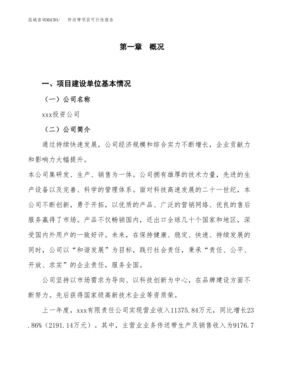 (立项备案申请样例)传送带项目可行性报告 (1).docx_第1页