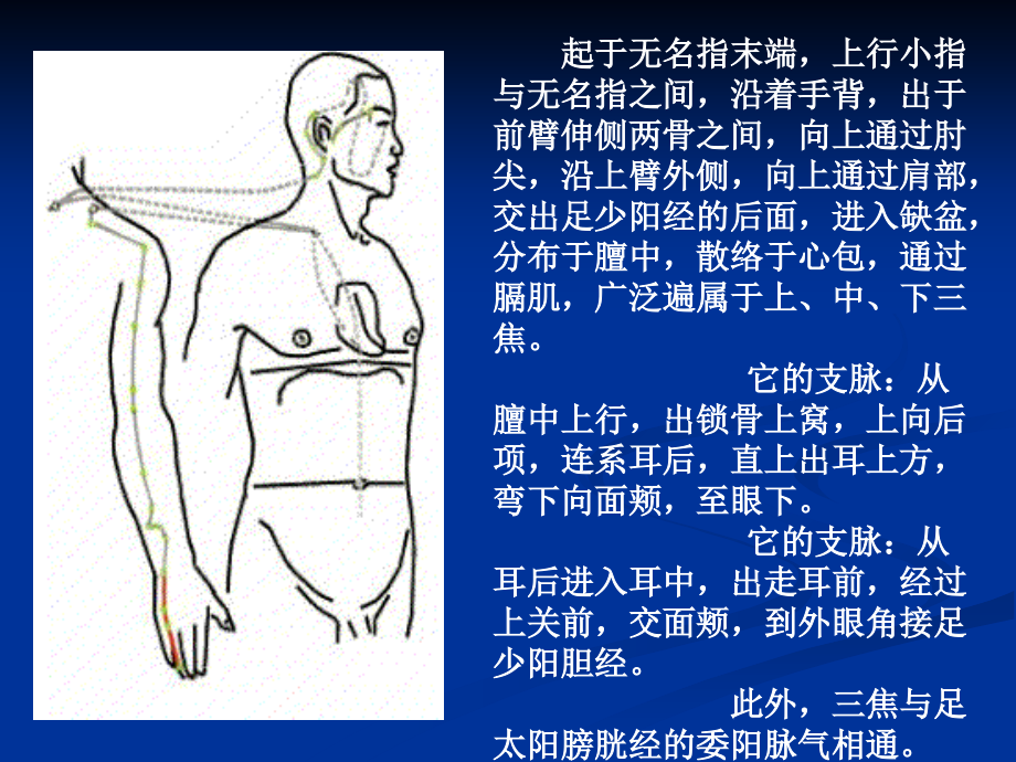 9-11中医针灸_第3页