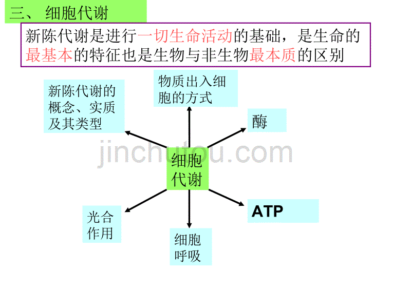 94生物学案1细胞代谢_第1页