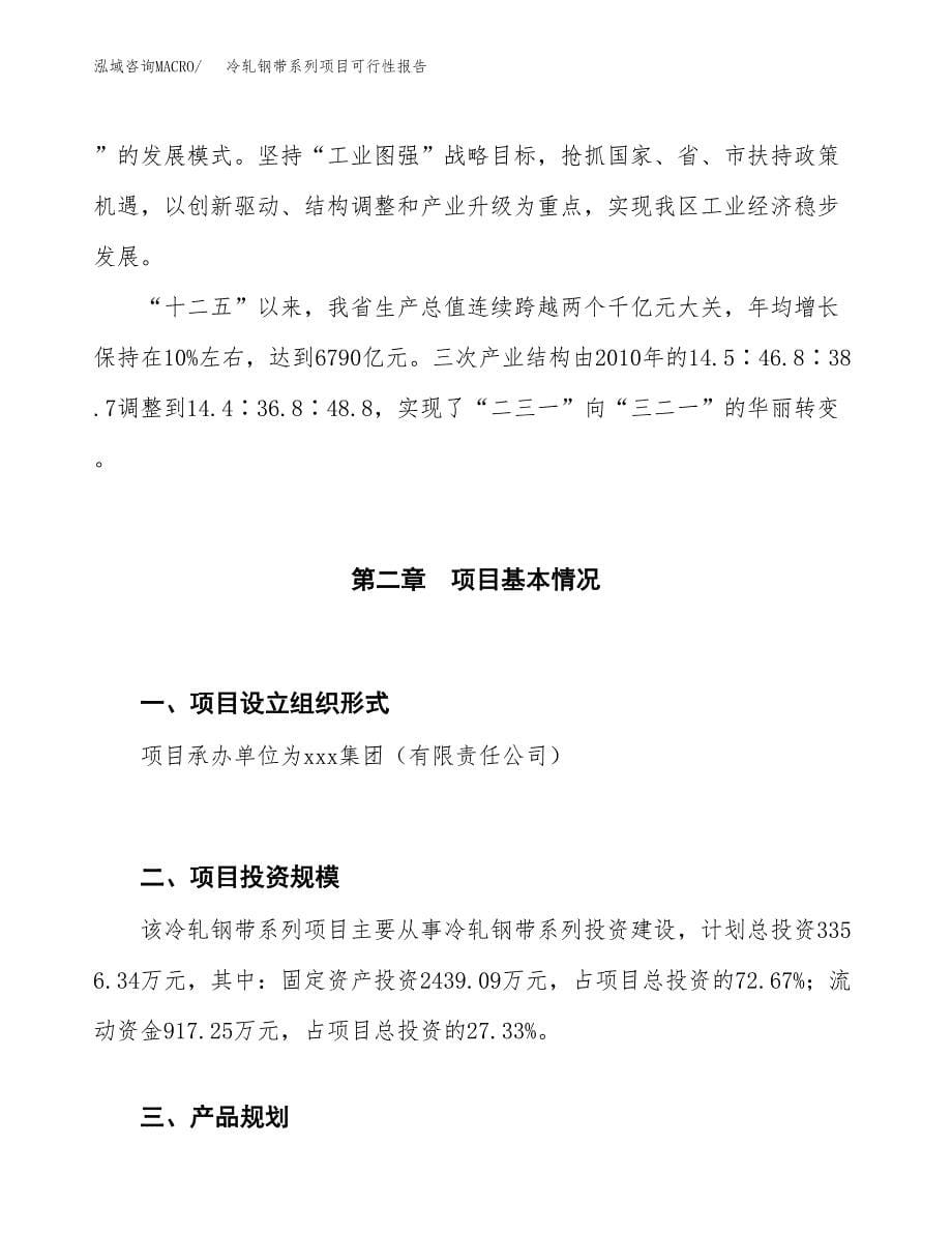 (立项备案申请样例)冷轧钢带系列项目可行性报告.docx_第5页