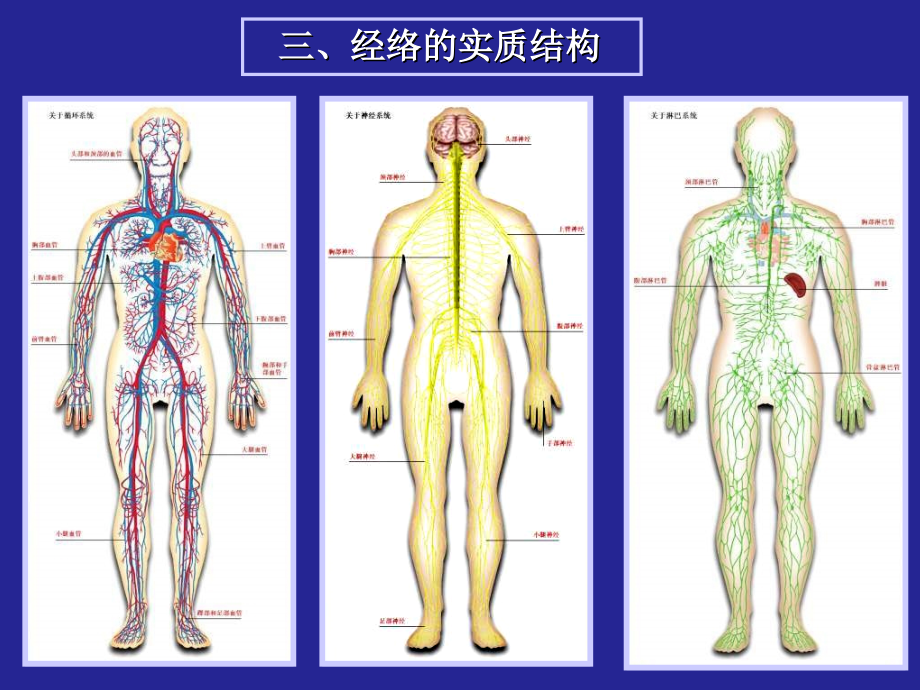 中医基础理论 - PowerPoint 演示文稿_第4页