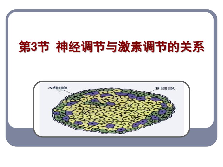 人教版教学教案云南省弥勒县庆来中学20112012学年生物必修3第3节神经调节与体液调节的关系课件_第2页