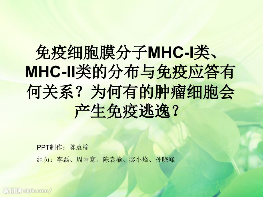 免疫细胞膜分子MHCI类MHCII类的分布与免疫应答有何的关系_第1页