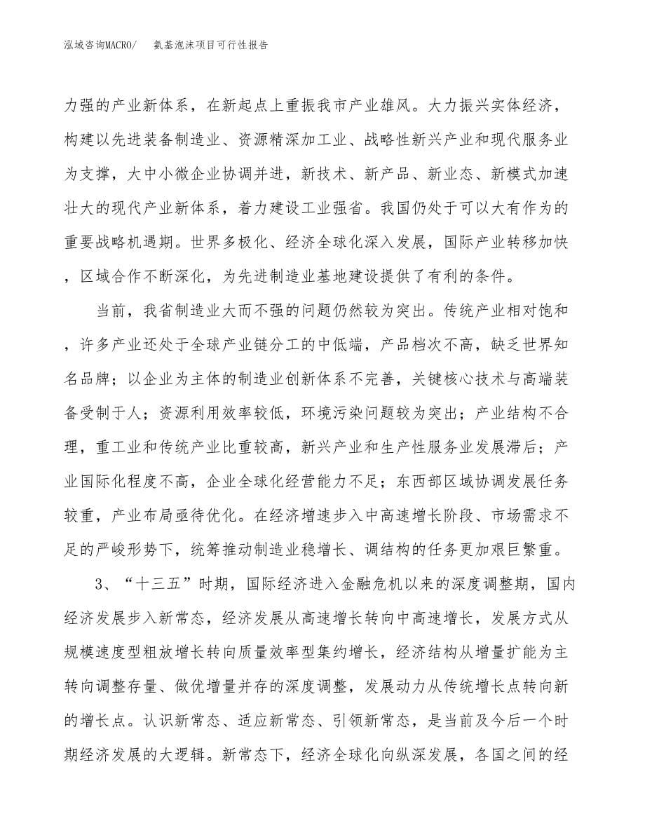 (立项备案申请样例)氨基泡沫项目可行性报告.docx_第5页