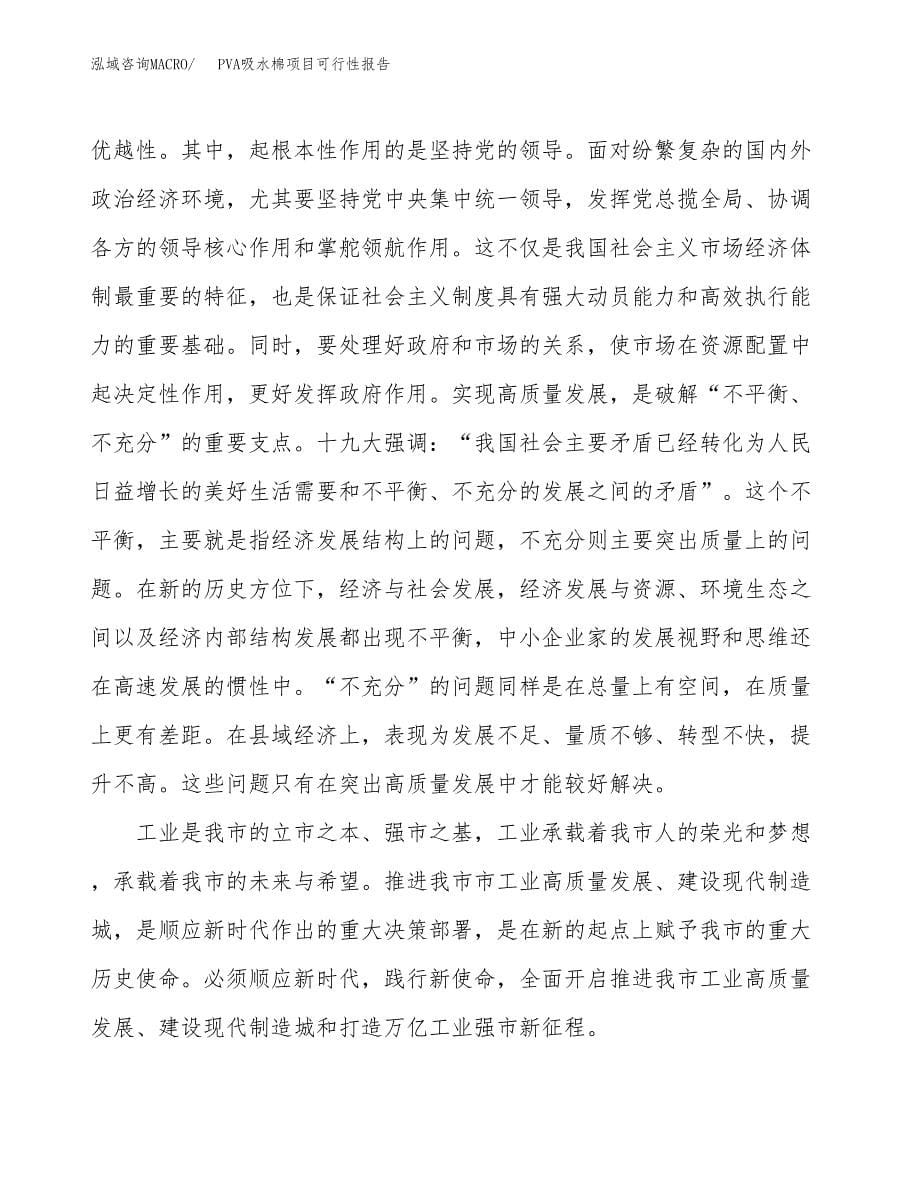 (立项备案申请样例)PVA吸水棉项目可行性报告.docx_第5页