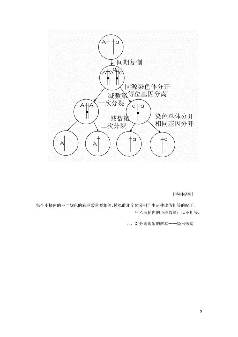 高考生物一轮复习第五单元第15讲基因的分离定律讲义含解析必修2.doc_第5页