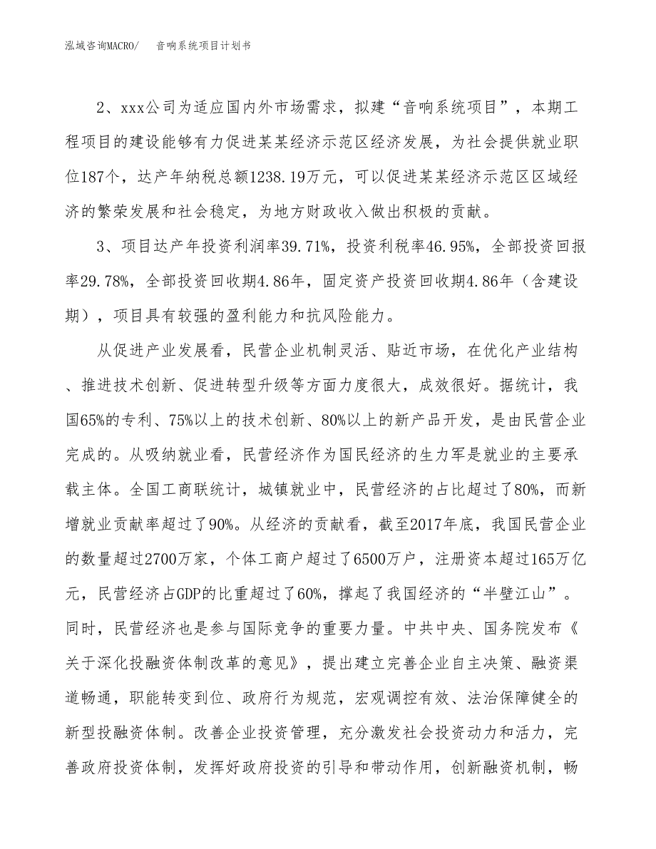 音响系统项目计划书(项目投资分析).docx_第4页