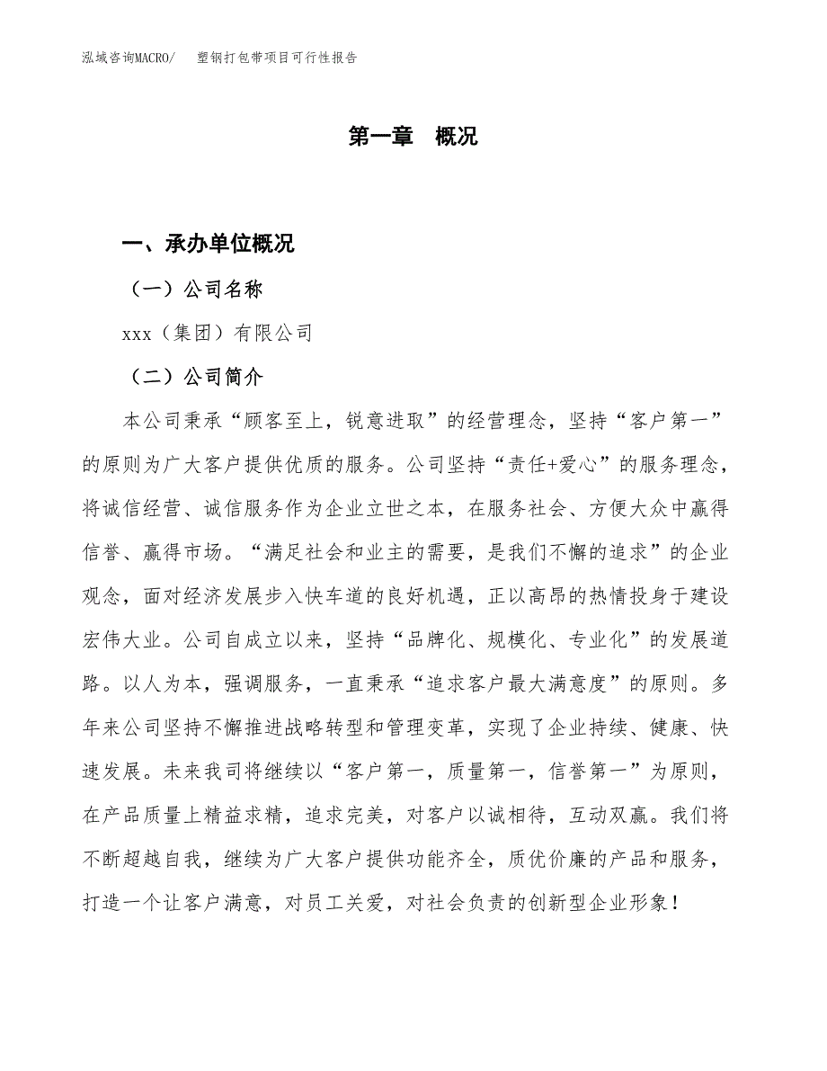 (立项备案申请样例)塑钢打包带项目可行性报告.docx_第1页