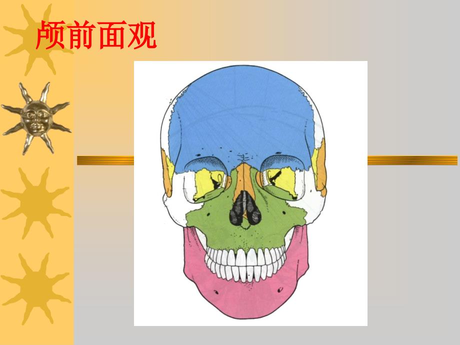 侧颅底、咽的应用解剖 (2)_第3页