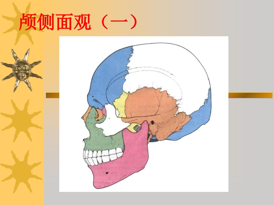 侧颅底、咽的应用解剖 (2)_第4页