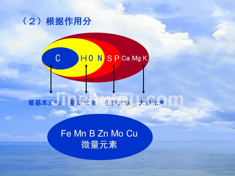 人教版教学课件21细胞中的元素和化合物_第5页